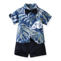 Mangas cortas de verano, camisas de flores, pantalones cortos para niños, conjunto casual de dos piezas, ropa de playa multicolor para bebés y niños - details 25