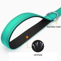 Collar de Plomo para Perros y Gatos Reflejo Nocturno Cuerda de Remolque - details 1