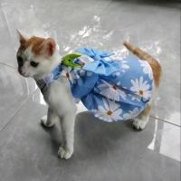 vestido de conejo con corbata para mascotas hermoso para verano vestido de fiesta para pequeños animales de estilo casual - details 5