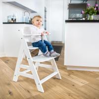 Set de Tronas de Bebé Evolutivas con Bandeja y Cojín de 2 Piezas |   Trona de madera regulable |   Silla Alta para Niños desde 6 Meses con Accesorios - details 22