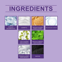 El cepillo de dientes morado proporciona una limpieza suave para los dientes, protege las encías y refresca el aliento. - details 2