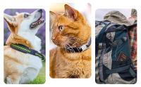 Funda protectora de silicona Compatible con AirTag para Collar de perro y gato, soporte para localizador GPS - details 2