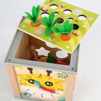 wooden activity cubes