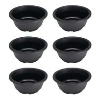 Flor de plástico ETA, plantas de interior, uso bonsái ETER, jugosa, 6 piezas. - details 0