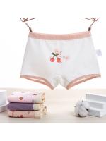 Ropa Interior de Algodón para Niños Shorts de Chico Suave con Dibujos Animados - details 7