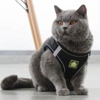 Arnes y correa ajustables y transpirables para mascotas Chaleco a prueba de Escape para gatos - details 28