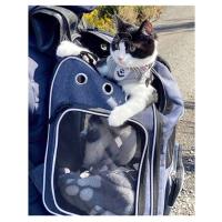 Morpilot Transportin Gatos Perros con Ruedas y Barra Telescópica Bolsa de Transporte de Viaje para Gatos Perro Carro Plegable con Cuenco y Ruedas Extraíbles - details 6