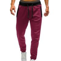 Pantalones de jogging informales para hombre, pantalones deportivos de cintura elástica para exteriores, otoño - details 7