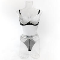 Conjunto de lencería sexy en contraste blanco y negro de 2 piezas translúcido con bordado de lazo de corazón, sujetador y braga para mujer - details 19
