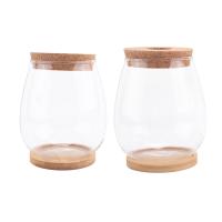 Estaciones de propagación de plantas, terrario de plantas de escritorio separado de 2 piezas con bandeja de madera y tapa para propagar hidropónico - details 2