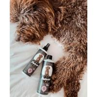 Petuxe Champú Vegano para Mascotas sin Sal Mandarina. para Manos irritadas. Perros y Gatos. Todas las razas. Uso Profesional Peluquero canino - 5000 ml - details 11