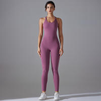 Hamidou-body de Yoga elástico, ropa de gimnasio, ropa deportiva de realce, mono de entrenamiento sin espalda, conjunto de Yoga de alta elasticidad para gimnasio - details 19