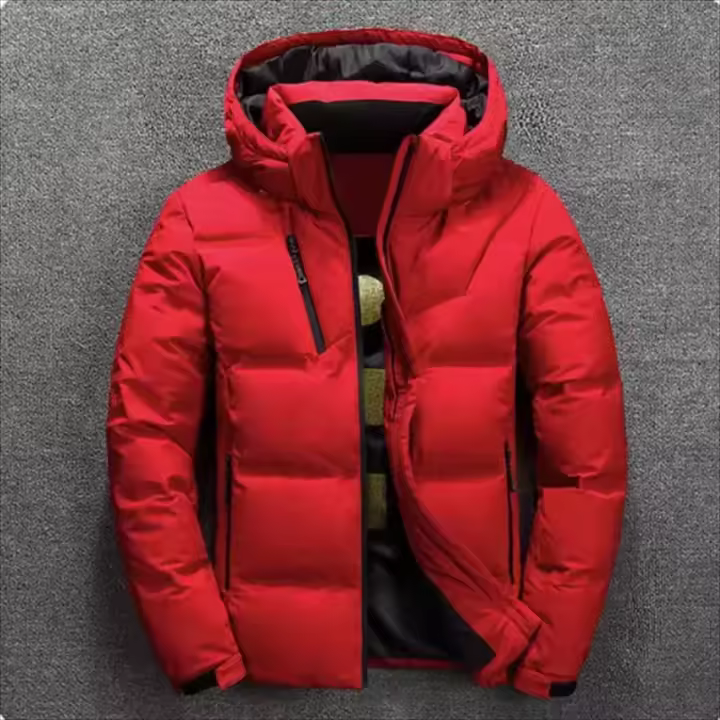 Chaqueta de plumas para hombre, de Color sólido Abrigo con capucha, gruesa, ajustada, informal, a la moda, 2024 - 1