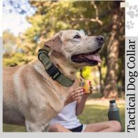 perro, militar ustable duradero mascotas, conjunto correa táctica, Collar nailon, accesorios de entrenamiento para perros pastor - details 6