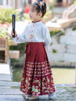 Conjunto de Falda Hanfu para Niñas Otoño 2025 Traje de Estilo Chino Antiguo para Actuaciones de Recitación Zapatos y Ropa - details 28