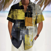 Conjuntos de camisetas para hombre, estampado de entramado de dibujos animados, pantalón corto informal de verano, jersey de manga para exteriores, ropa de gran tamaño para hombre, camiseta, pantalones, dos piezas - details 5