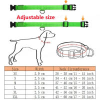 Collar Luminoso para Perros LED USB Modos de Carga: Energía Recargable, Energía de Reserva, Energía Desechable Accesorios para Mascotas - details 0