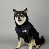 Chubasquero cálido de invierno para perros grandes, ropa de algodón para mascotas, abrigo a prueba de viento y lluvia - details 31