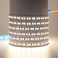 Tira de luces LED de 5M, 2835 Leds/m, no impermeable, cc 12V, CCT, Blanco cálido, Fita, cinta Flexible, luces de cuerda - details 7