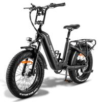 FAFREES F20 Master Bicicleta Eléctrica, Marco de Fibra de Carbono, Motor de 500W, Batería de 48V 22.5Ah, Neumáticos de 20*4,0 Pulgadas de Espesor, Frenos hidráulicos dobles, SHIMANO de 7 Velocidades, Pantalla LCD en color, Negro - details 0
