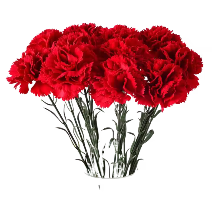 Claveles rojos artificiales de tacto Real, manualidades DIY, 54cm, flor de clavel de simulación, plantas falsas hechas a mano realistas, aniversario - 1
