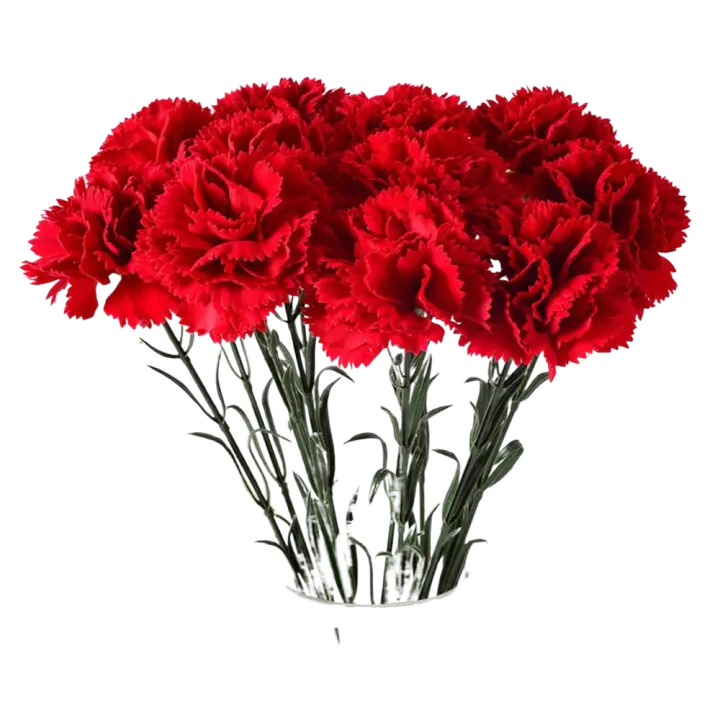 Claveles rojos artificiales de tacto Real, manualidades DIY, 54cm, flor de clavel de simulación, plantas falsas hechas a mano realistas, aniversario - 1