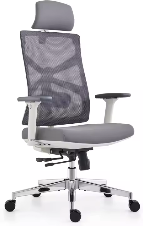 Silla de Escritorio de Alto Respaldo Ergonómica Reposabrazos 4D, Altura Ajustable, Soporte Lumbar y Reposacabezas 2D - 1