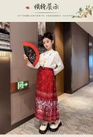 Falda Ma Mian para niñas, ropa estilo Tang, nuevo estilo de hadas de verano Hanfu, vestido súper hermoso, estilo occidental - details 4