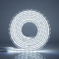 Tira de luces LED RGB SMD5050, cinta de diodo impermeable con Control remoto, lámpara de jardín al aire libre, decoración del hogar, 220V, 60Leds/m - details 6