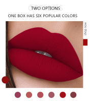 Pintalabios Líquido Permanente, 6 piezas, Mate, Larga duración, Rosa, Brillo, Barras de Labios, Maquillaje para Mujer, Regalo - details 3