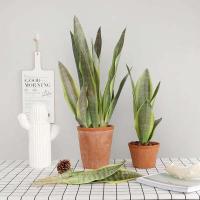 Plantas artificiales para decoración del jardín del hogar, rama de Sanseviria de plástico, bonsái DIY, plantas falsas para exteriores - details 2