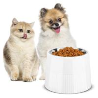 Cuenco elevado para perro, comedero extraíble de acero inoxidable para comida y agua, plato antideslizante para perro - details 2