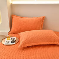 Bonenjoy-funda de almohada de terciopelo cálido, Fundas de cojín de Color sólido, 2 piezas, rectangular, 48x74cm - details 9