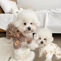 Mono de felpa con estampado de oso para mascotas, pijama de franela suave con estampado de oso para perros, cómodo y cálido, Pijama de terciopelo para gatos - details 0