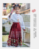Conjunto de Falda Hanfu para Niñas Otoño 2025 Traje de Estilo Chino Antiguo para Actuaciones de Recitación Zapatos y Ropa - details 15
