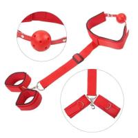 Juguete erótico para adultos, esposas, tobilleras, Bondage BDSM, ataduras de cama, P, juguetes sexuales, collar de pareja, Kit Bdsm, Sm - details 6