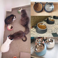 Bolsas de Mascotas de Acero Inoxidable Premium Base Antideslizante para Alimentos y Agua - details 7