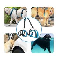 Correa de Protección para Perros Equipo de Apoyo para Perros Mayores Correa Auxiliar para Paseos de Perros Deshabilitados - details 9