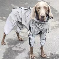 Chaqueta impermeable para perros Reflectante Solar para exteriores Ropa de abrigo para perros pequeños medianos y grandes - details 9