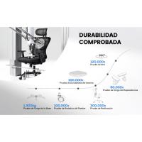 Silla de Oficina Ergonómica con Soporte Lumbar