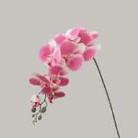9 ramas artificiales de Phalaenopsis de cabeza, flor de orquídeas de mariposa Artificial hecha a mano realista, flores falsas de tacto Real - details 7