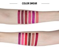 Lápiz labial líquido mate, Kits de maquillaje de labios de un paso, pigmento aterciopelado, mancha de labios desnuda, resistente al agua, brillo de labios de larga duración, regalo de maquillaje - details 4