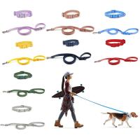 Conjunto de correa de Collar ajustable para perro, correas elásticas de PVC impermeables, Combo de collares para mascotas, hebilla de liberación rápida, correas suaves lavables para perros - details 1