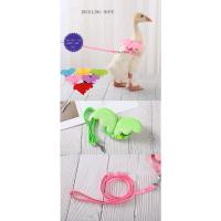 Correa Ajustable para Perros y Gatos Cuerda de Paseo para Animales Pequeños - details 2