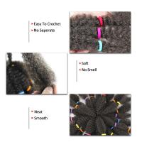 Fibra resistente al calor mujeres africanas pelo sintético Afro rizado pelo trenzado de ganchillo trenzas rizadas a granel peluca rastas ombré - details 0