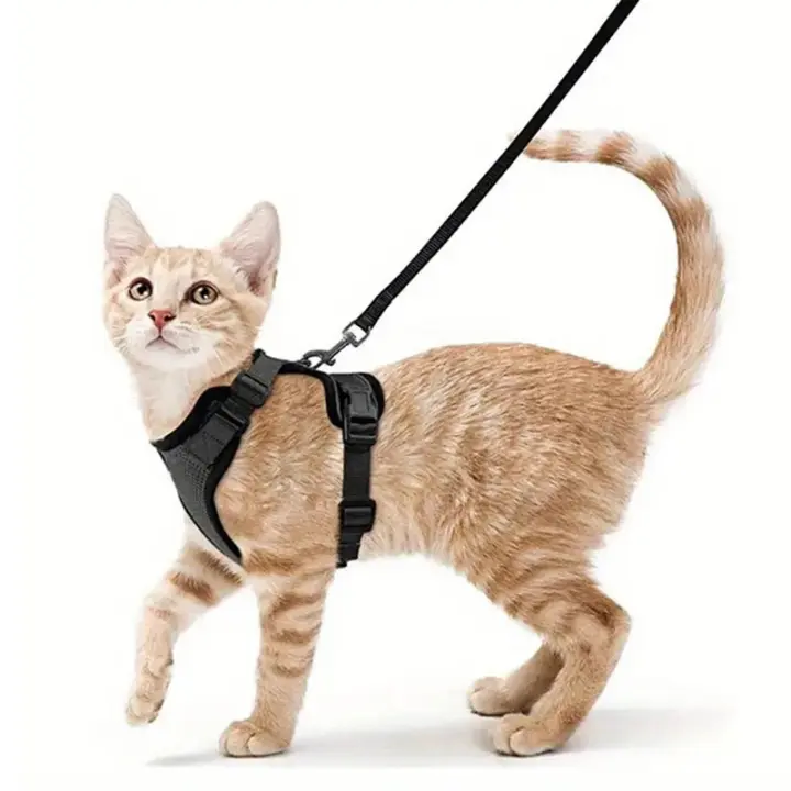 Juego de arnés y correa para gato a prueba de Escape, transpirable, ajustable y reflectante para gatitos - 1