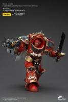 JOYTOY 40k 1/18 figuras de acción Anime 14,2 cm Blood Angels Legion Praetor en Tartaros Terminator Armor - details 7