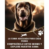 BedDog Zara - Cama para Perro con Funda Extraíble y Lavable, Sofá para Perros Mediano XL - details 3