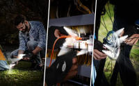 Guantes con linterna Led, manos libres para pescar, acampar y hacer senderismo, mano izquierda y mano derecha, 1 par - details 1