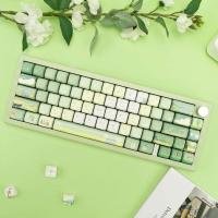 127 Keys Spring Outing Themed Dye Sub Keyboard MOA Profile PBT Keycaps for Cherry Gateron MX Switches Gaming Keyboards - details 1
